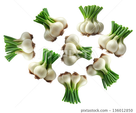 Multiple fresh spring garlic bunches with green stalks arranged isolated on white background, concept of harvest Multiple fresh spring garlic bunches with green stalks arranged isolated on white background, concept of harvest 136012850