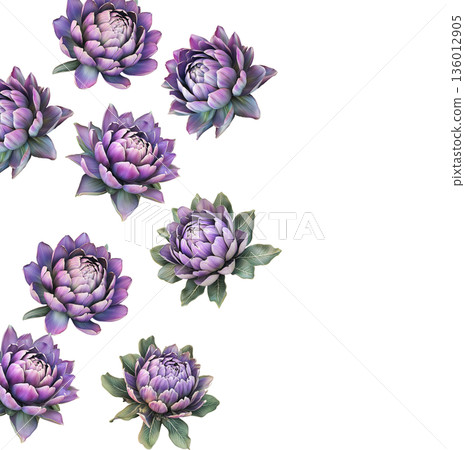 Multiple purple-pink blooming flowers with green leaves isolated on white background, botanical floral pattern concept Multiple purple-pink blooming flowers with green leaves isolated on white background, botanical floral pattern concept 136012905