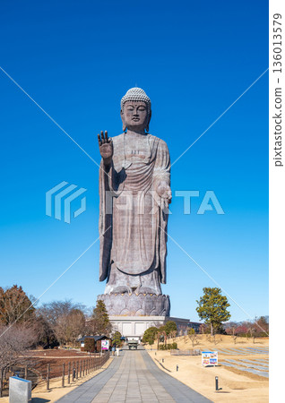 牛久大佛像與藍天:巨型佛像的正面圖 牛久大佛像與藍天:巨型佛像的正面圖 136013579
