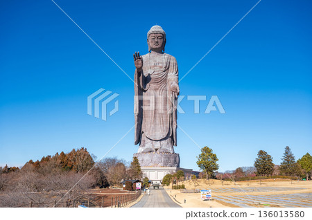 The full-body statue of Ushiku Daibutsu and the blue sky The full-body statue of Ushiku Daibutsu and the blue sky 136013580