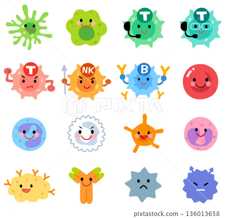 Cell/lymphocyte types Cell/lymphocyte types 136013658