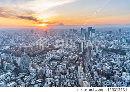 東京市中心夜景 東京市中心夜景 136013784