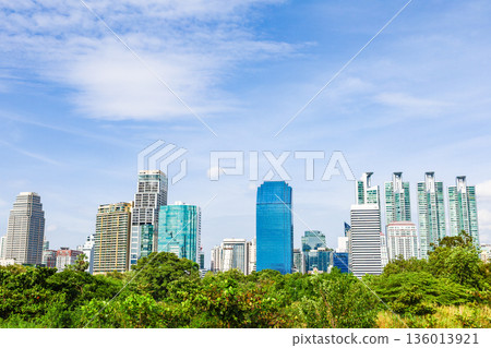綠色城市景觀 綠色城市景觀 136013921