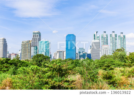 Green city landscape Green city landscape 136013922