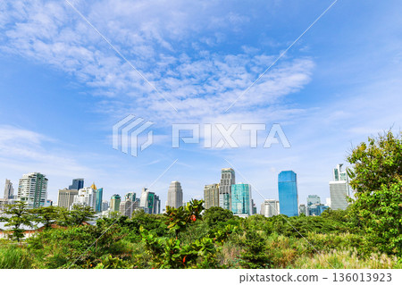 綠色城市景觀 綠色城市景觀 136013923