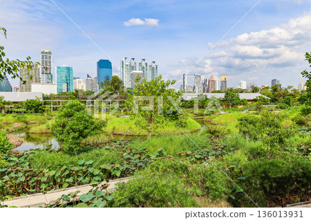 Green urban park landscape Green urban park landscape 136013931