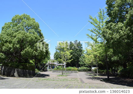 Kanna Park in Kohoku New Town, Tsuzuki Ward, Yokohama City Kanna Park in Kohoku New Town, Tsuzuki Ward, Yokohama City 136014023