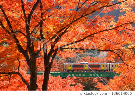 Autumn leaves on Mt. Yamatsuri and the Kiha E130 on the Suigun Line Autumn leaves on Mt. Yamatsuri and the Kiha E130 on the Suigun Line 136014060