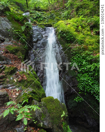 Okumusashi, Mount Bonoori, Shirayazawa Falls 136014241