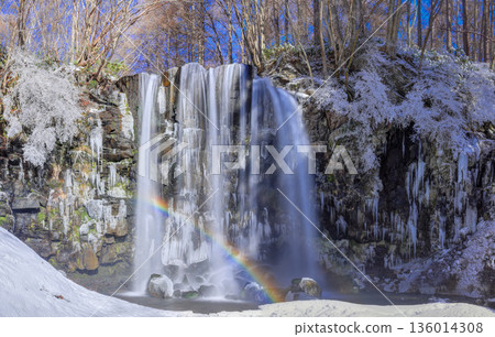 Karasawa Falls and rainbow in winter (Sugadaira Plateau) (panorama) 136014308