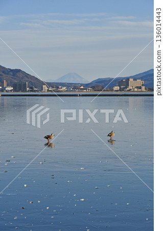 長野縣下諏訪町詰訪湖周邊 長野縣下諏訪町詰訪湖周邊 136014443