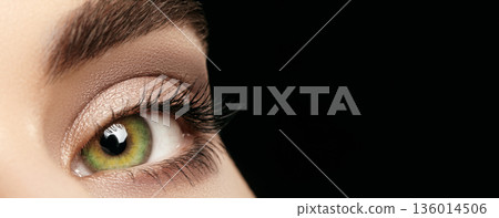 Closeup Green Eye With Soft Shadow, Neutral Tones And Long Lashes With Subtle Shimmer, Sharp Iris Detail And Natural Skin Texture, Cosmetic Or Ophthalmic Closeup For Natural Beauty Campaign 136014506