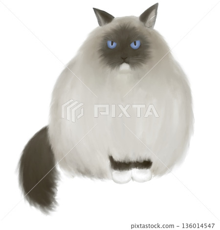 手繪貓咪插畫素材 手繪貓咪插畫素材 136014547