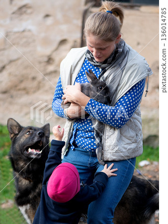 Middle Aged Woman Holding Rabbit With Affectionate Smile Middle Aged Woman Holding Rabbit With Affectionate Smile 136014785