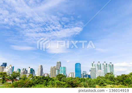 綠色城市景觀 136014919