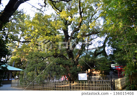 Hamamatsu Hachiman Shrine, a power spot in Hachimancho, Chuo Ward, Hamamatsu City, Shizuoka Prefecture 136015408