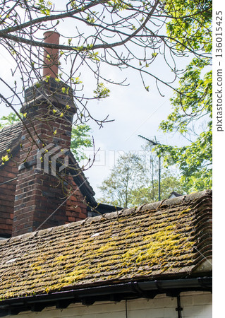 倫敦郊區伊斯特科特莊園，一座歷史悠久的紅磚建築，屋頂上長滿了青苔。 136015425
