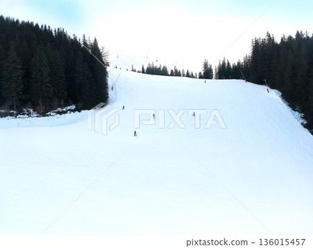 View of wide ski slope surrounded by pine trees View of wide ski slope surrounded by pine trees 136015457
