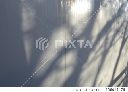 The shadow of the tree reflected on the wall The shadow of the tree reflected on the wall 136015476