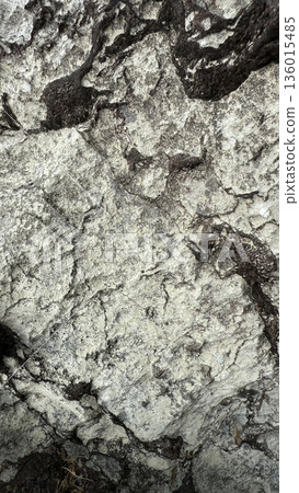 Rock surface material that can also be used as a background 136015485