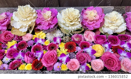 Gorgeous January flower water basin (chrysanthemums, roses, gerberas, chrysanthemums, and violets) at Sugao Shrine in Okazaki City, Aichi Prefecture Gorgeous January flower water basin (chrysanthemums, roses, gerberas, chrysanthemums, and violets) at Sugao Shrine in Okazaki City, Aichi Prefecture 136015852