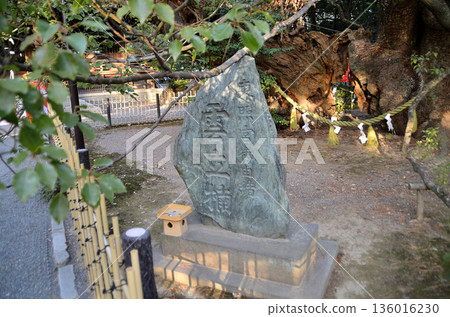 Hamamatsu Hachiman Shrine, a power spot in Hachimancho, Chuo Ward, Hamamatsu City, Shizuoka Prefecture Hamamatsu Hachiman Shrine, a power spot in Hachimancho, Chuo Ward, Hamamatsu City, Shizuoka Prefecture 136016230