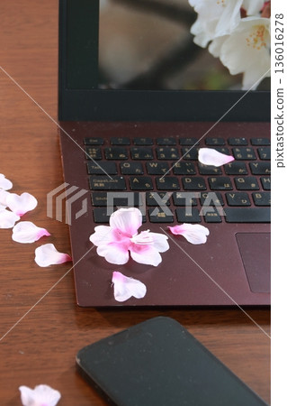 日本春天的景象：筆記型電腦、智慧型手機和櫻花花瓣擺放在桌面上（豎圖） 136016278