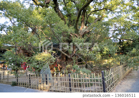 濱松八幡神社，位於靜岡縣濱松市中央區八幡町，是一處能量聖地。 136016511
