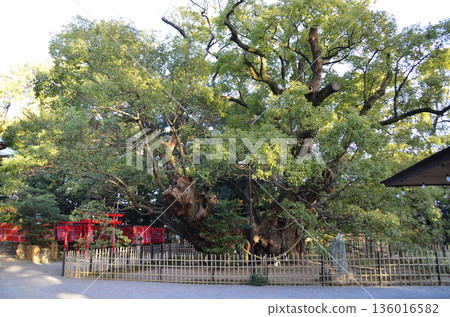 Hamamatsu Hachiman Shrine, a power spot in Hachimancho, Chuo Ward, Hamamatsu City, Shizuoka Prefecture Hamamatsu Hachiman Shrine, a power spot in Hachimancho, Chuo Ward, Hamamatsu City, Shizuoka Prefecture 136016582