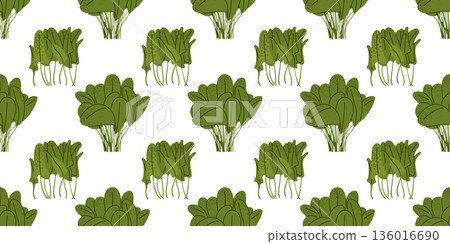Spring Spinach Leaf Botanical Pattern 136016690