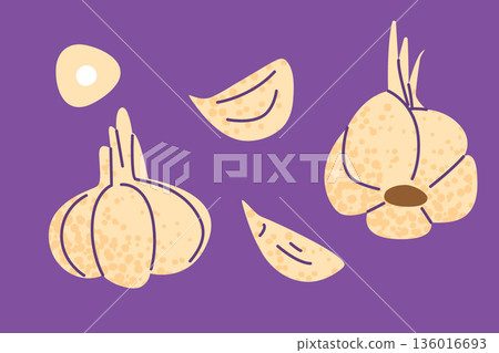 Garlic Set Illustration 136016693