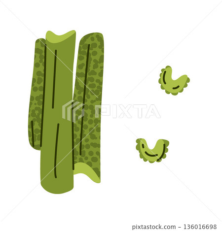 Celery Stalks And Slices Illustration Celery Stalks And Slices Illustration 136016698