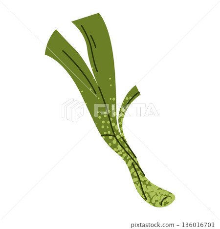 Green Onion Scallion Vegetable Illustration Green Onion Scallion Vegetable Illustration 136016701