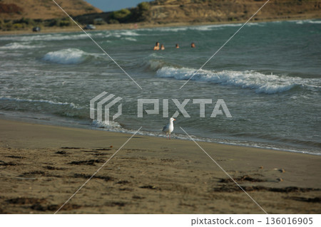 the sea under the mountain on a summer day Vlora, Albania, photographed on August 2025. the sea under the mountain on a summer day Vlora, Albania, photographed on August 2025. 136016905