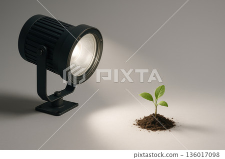 A spotlight illuminates a small sprout in a pile of earth. Space for text. A spotlight illuminates a small sprout in a pile of earth. Space for text. 136017098