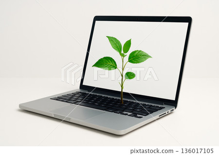 A green sprout growing from a laptop keyboard. A green sprout growing from a laptop keyboard. 136017105