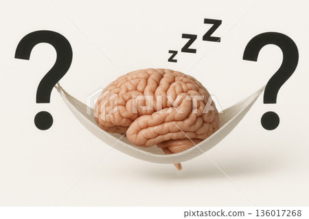 The brain sleeps in a hammock of question marks. The brain sleeps in a hammock of question marks. 136017268