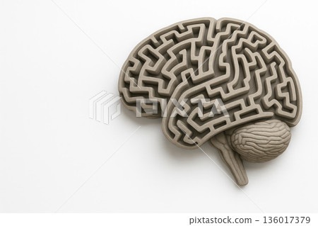 The brain in the form of a labyrinth on a light background. Space for text. The brain in the form of a labyrinth on a light background. Space for text. 136017379