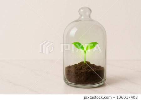 A green sprout under a glass bell. Space for text. 136017408
