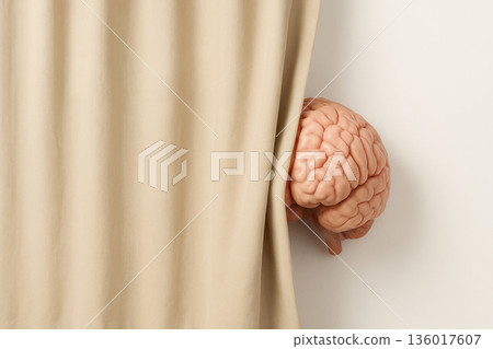 The brain peeks out from behind the curtain a symbol of hidden intelligence. Space for text. The brain peeks out from behind the curtain a symbol of hidden intelligence. Space for text. 136017607