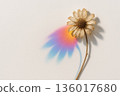 A withered flower casts a bright colored shadow. Space for text. 136017680
