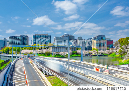 Spring in Tokyo: Shuto Expressway and Chidorigafuchi cherry blossoms in full bloom Spring in Tokyo: Shuto Expressway and Chidorigafuchi cherry blossoms in full bloom 136017710