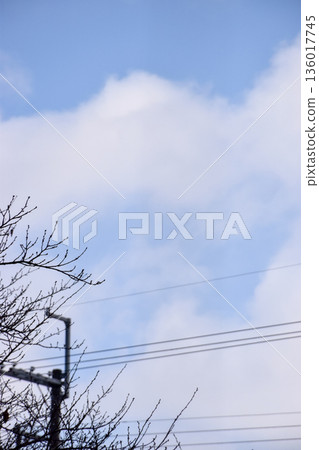 Image of winter sky and power lines 136017745