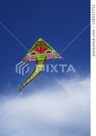 A brightly colored kite is launched into the blue sky. A kite with a cobra motif challenges participants to a traditional kite competition during the Basant kite flying spring festival. A brightly colored kite is launched into the blue sky. A kite with a cobra motif challenges participants to a traditional kite competition during the Basant kite flying spring festival. 136017752