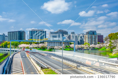 東京之春:首都高速公路和千鳥淵的櫻花盛開。 東京之春:首都高速公路和千鳥淵的櫻花盛開。 136017790