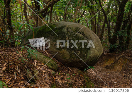 小岱山兔石 136017806