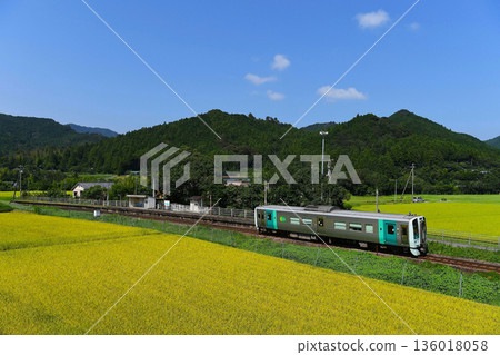 JR麥基線普通列車 JR麥基線普通列車 136018058
