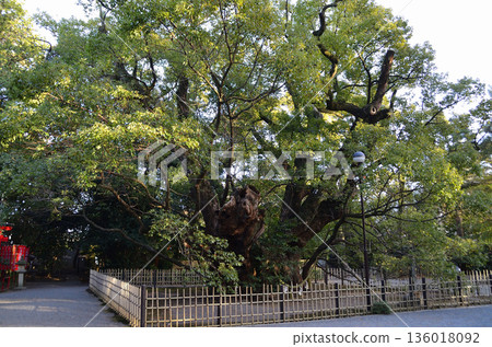 Hamamatsu Hachiman Shrine, a power spot in Hachimancho, Chuo Ward, Hamamatsu City, Shizuoka Prefecture Hamamatsu Hachiman Shrine, a power spot in Hachimancho, Chuo Ward, Hamamatsu City, Shizuoka Prefecture 136018092