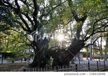 濱松八幡神社，位於靜岡縣濱松市中央區八幡町，是一處能量聖地。 136018096