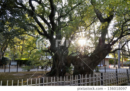 Hamamatsu Hachiman Shrine, a power spot in Hachimancho, Chuo Ward, Hamamatsu City, Shizuoka Prefecture 136018097